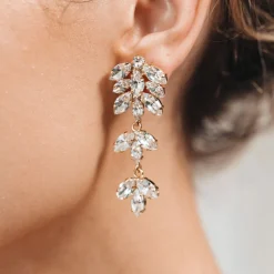 Caroline Svedbom Falling In Love Earrings/Crystal Hot