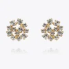 Caroline Svedbom Kassandra Earrings Crystal Outlet