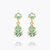 Caroline Svedbom Mini Drop Earrings Chrysolite Shop