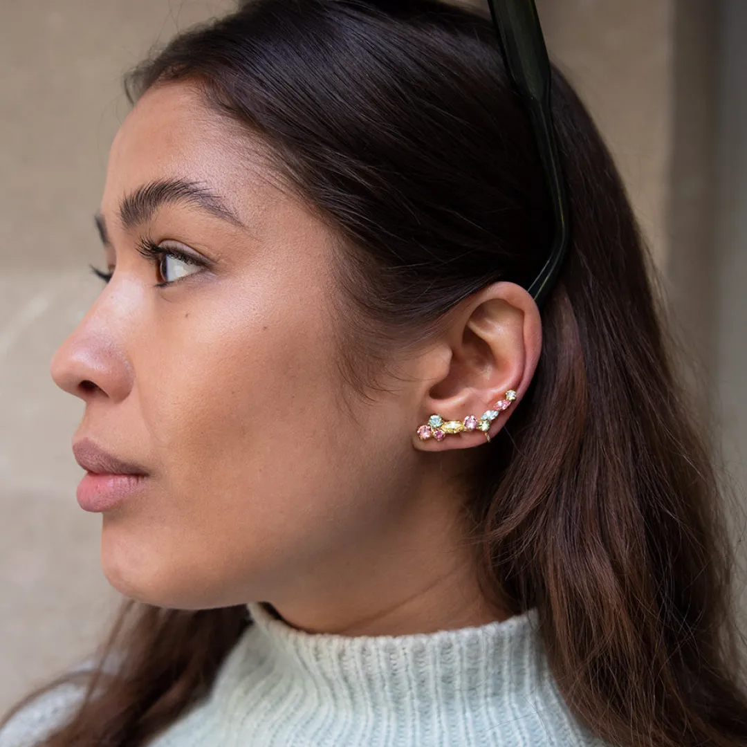 Caroline Svedbom Mirabel Earrings Rainbow Combo Store