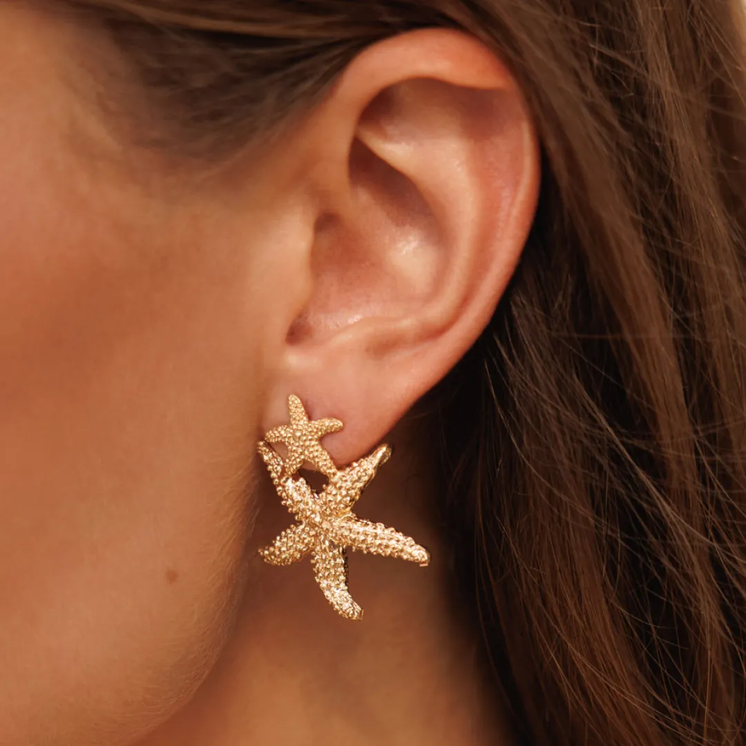 Caroline Svedbom Sea Star Twin Earrings Shop